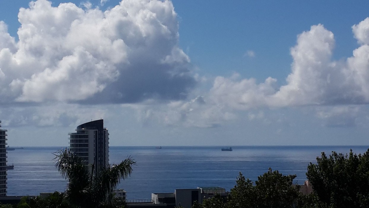 crooked tree cottage