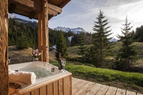 chalet resort laposch