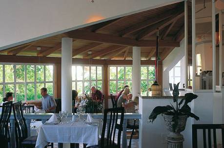 robinson esquinzo playa all inclusive