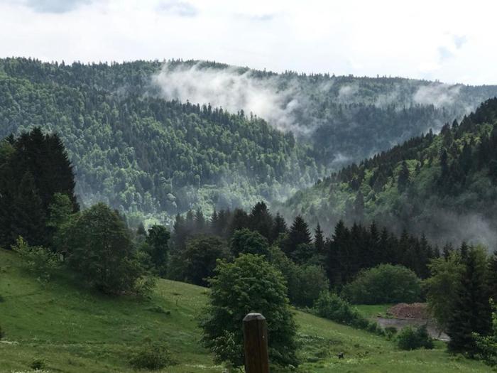 hotel restaurant maien