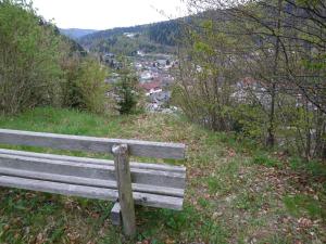 hotel restaurant maien