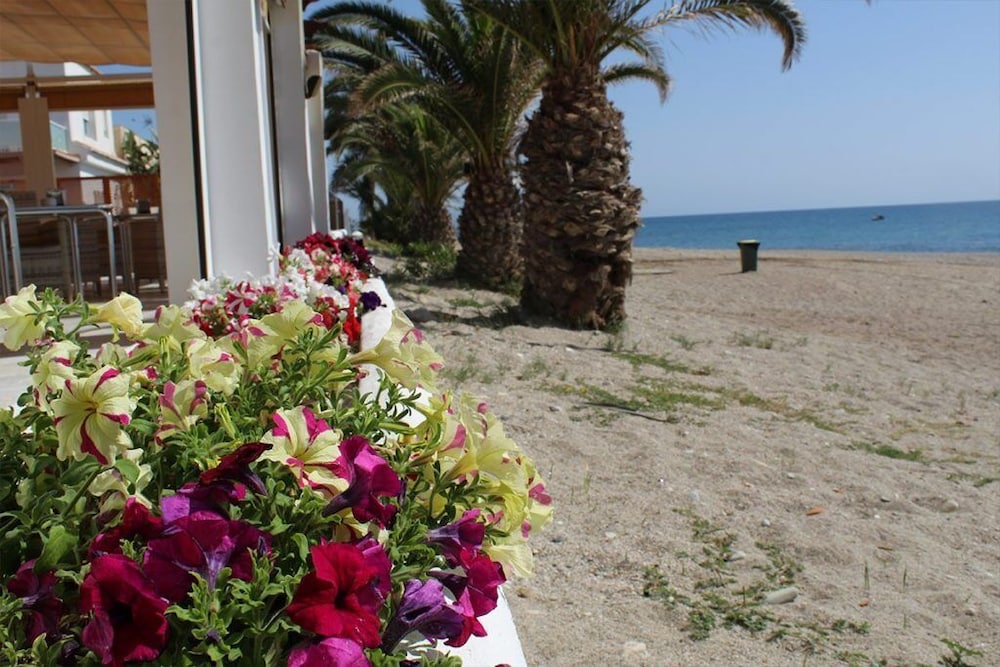 hospedium hotel continental