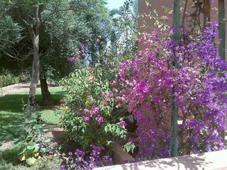 In Club Palmeraie Resort,Marrakech>>Annakhil,2 star