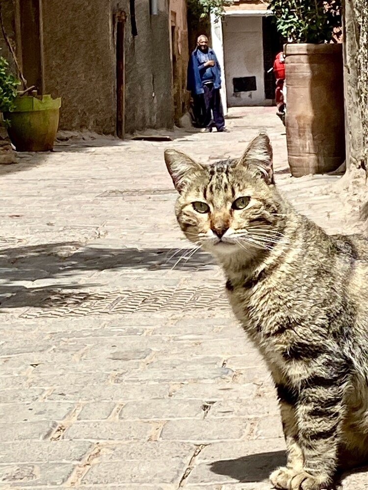 marrakech
