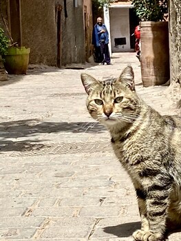 marrakech