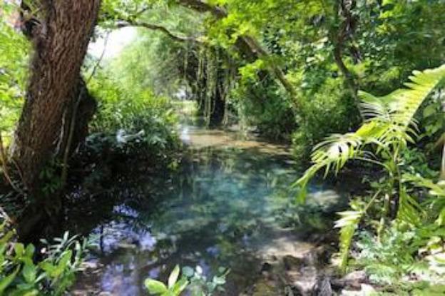 port antonio
