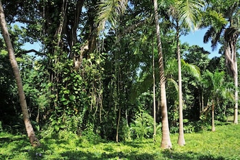 frenchmans cove resort