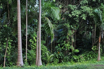 frenchmans cove resort