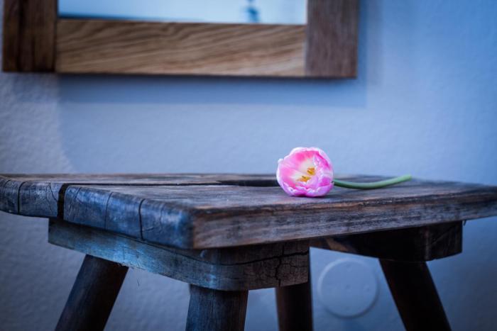 hotel anna 1908 berlin