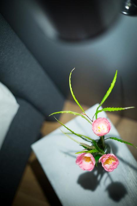 hotel anna 1908 berlin