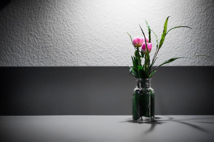 hotel anna 1908 berlin