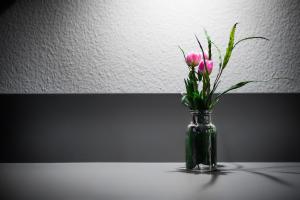 hotel anna 1908 berlin