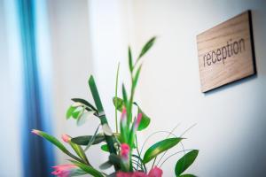 hotel anna 1908 berlin