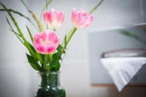 hotel anna 1908 berlin