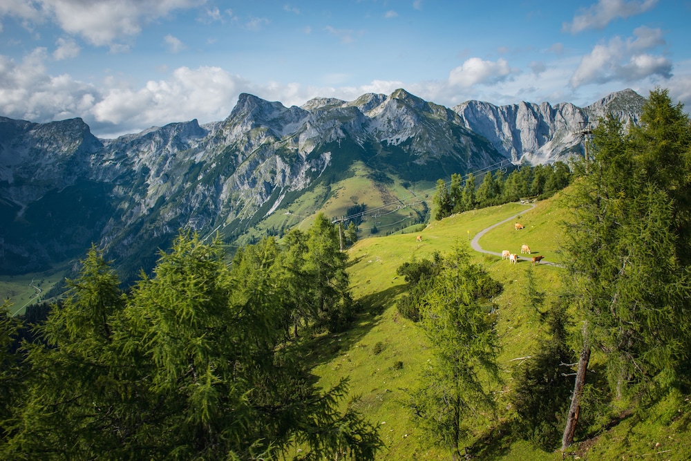 hotel wenger alpenhof