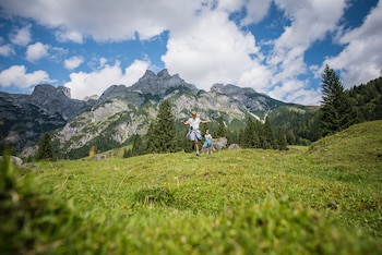 hotel wenger alpenhof