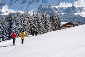 alpengasthof hornlepass