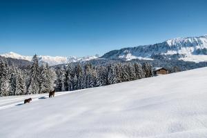 alpengasthof hornlepass
