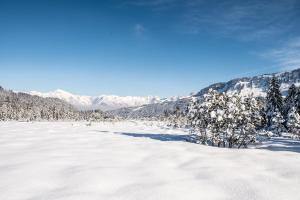 alpengasthof hornlepass