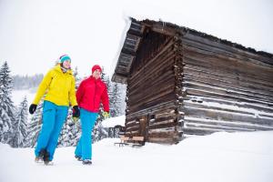 alpengasthof hornlepass