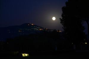 cortona resort le terre dei cavalieri