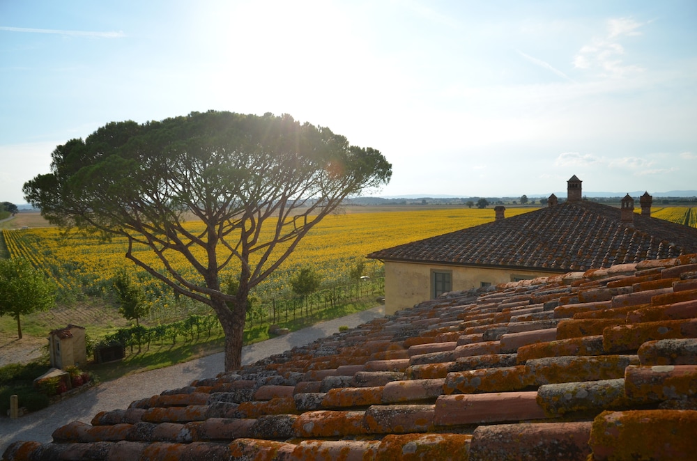 cortona resort le terre dei cavalieri
