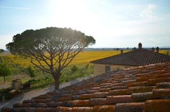 cortona resort le terre dei cavalieri