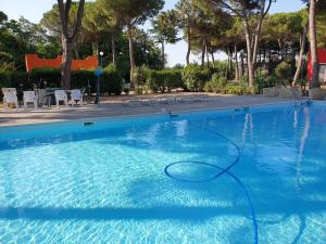 misano adriatico