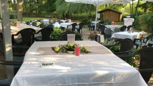 hotel luther birke wittenberg