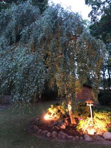 hotel luther birke wittenberg