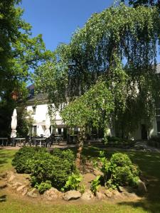 hotel luther birke wittenberg