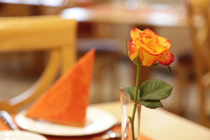 city hotel garni neu ulm