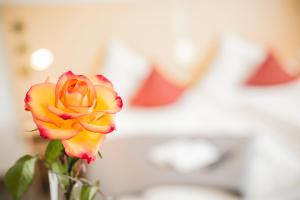 city hotel garni neu ulm