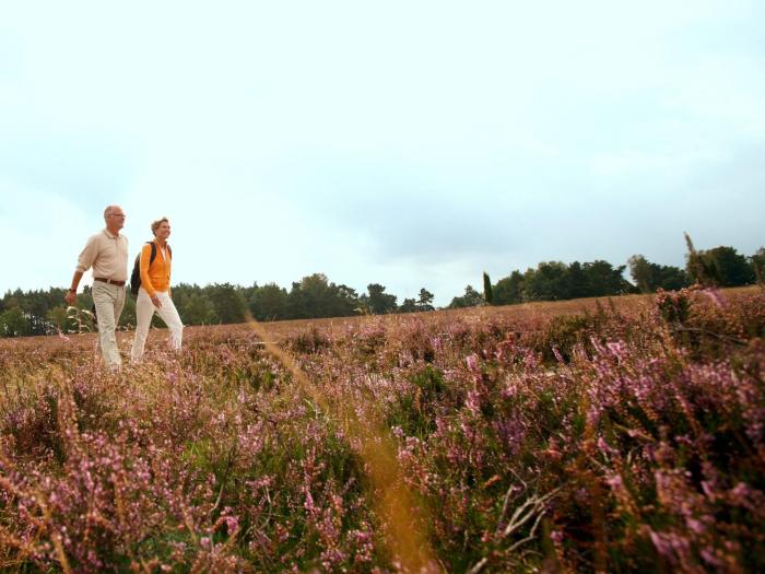 heidehotel bockelmann