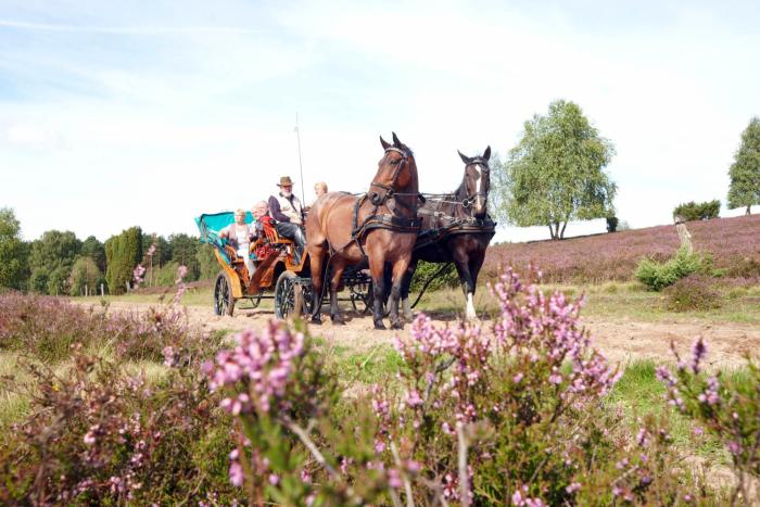 heidehotel bockelmann