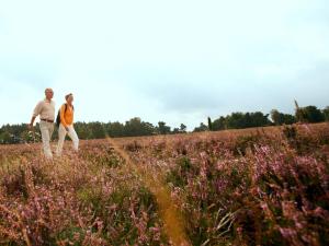 heidehotel bockelmann