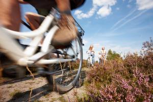 heidehotel bockelmann