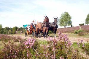 heidehotel bockelmann