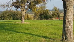 bad homburg v d hoehe