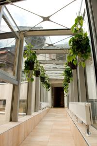 fishinn zell hotel fischerwirt