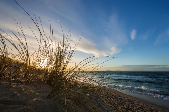 strandhotel fischland