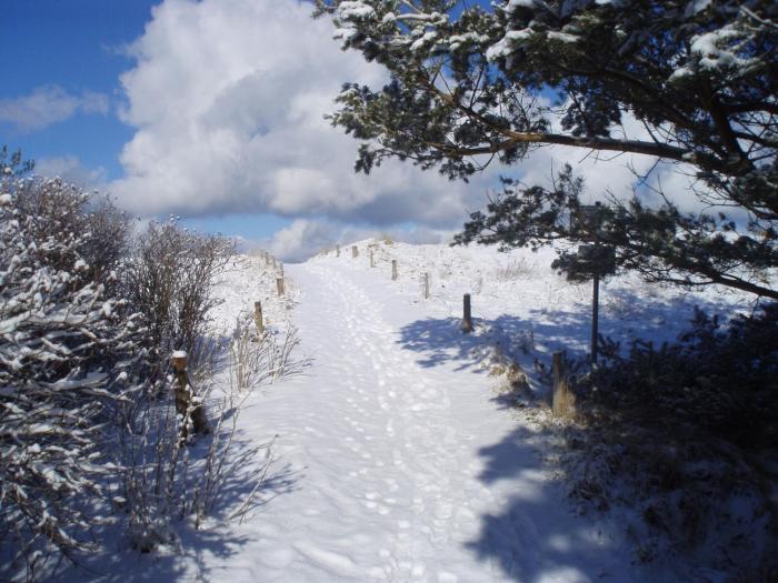 strandhotel fischland