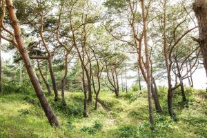 strandhotel fischland