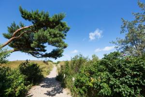 strandhotel fischland