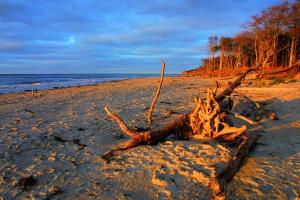 strandhotel fischland