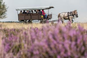 hotel hof sudermuhlen