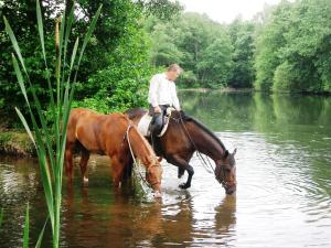 hotel hof sudermuhlen
