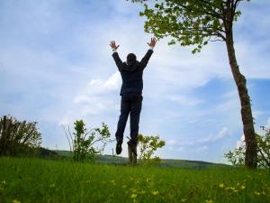 vulkanhotel steffelberg