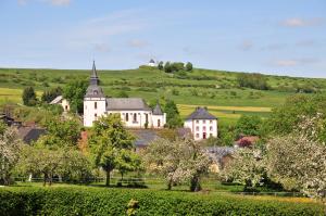 vulkanhotel steffelberg