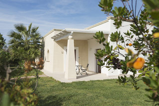 il giardino dei pini